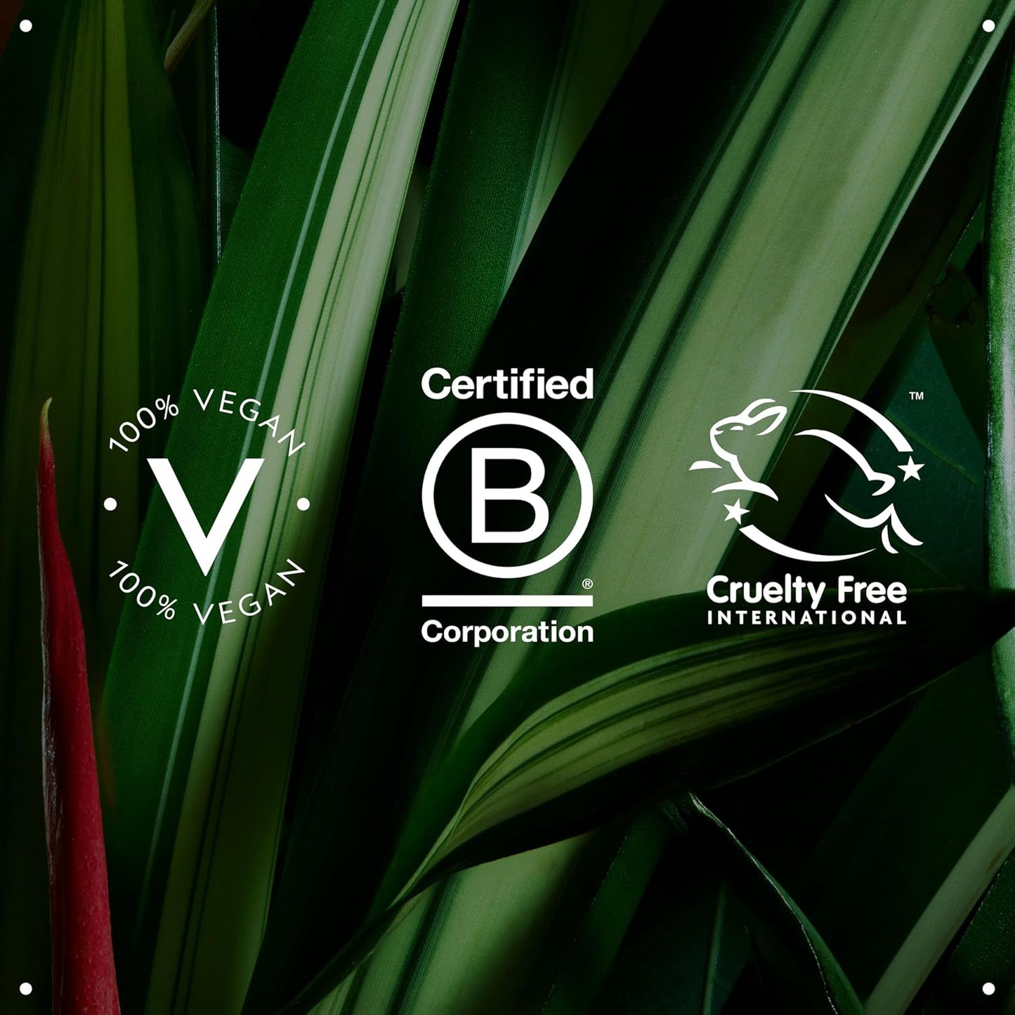 Aveda Certification logos for 100% Vegan, Certified B Corporation, and Cruelty Free International on a green leaf background.