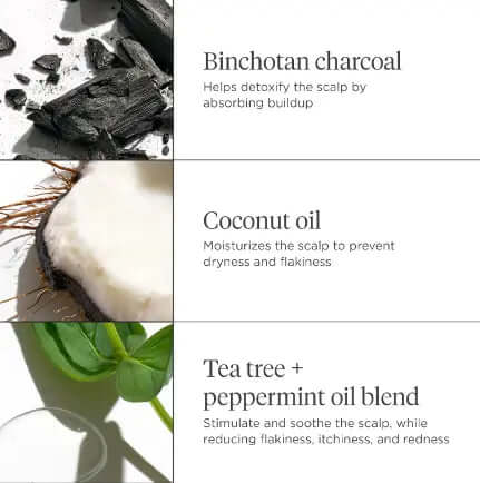 Ingredients in Briogeo Scalp Revival: Binchotan charcoal, coconut oil, tea tree, and peppermint oil.