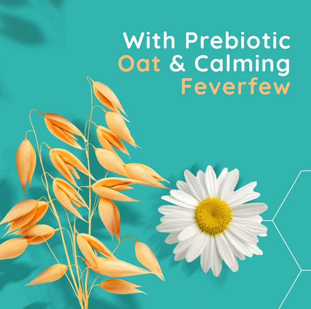 Illustration of prebiotic oat and feverfew on a teal background promoting soothing skincare.