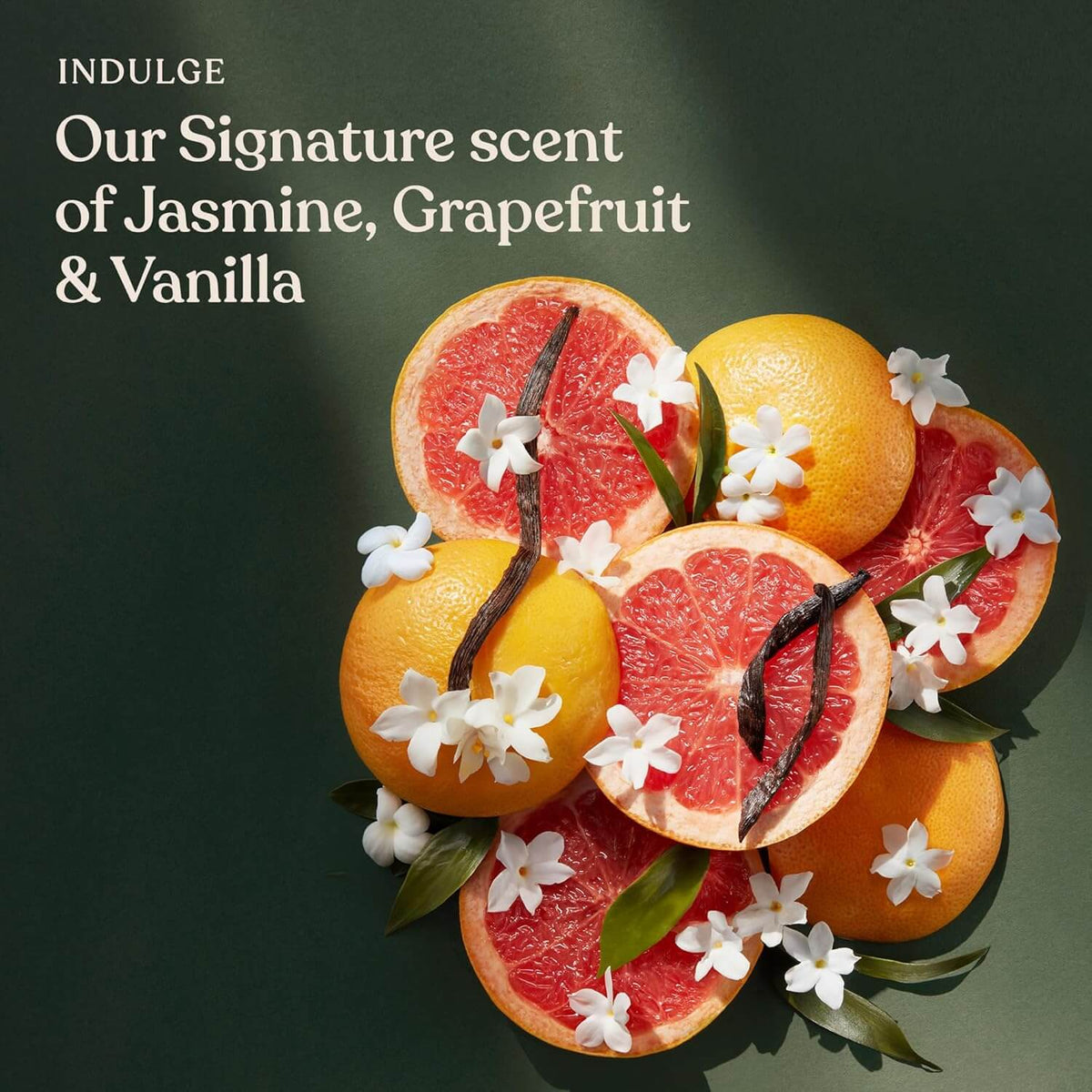 Sanctuary Spa Fruit arrangement with flowers and text on a dark background