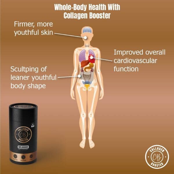 Infographic illustrating whole-body health benefits of Collagen Booster, including improved skin and cardiovascular function.