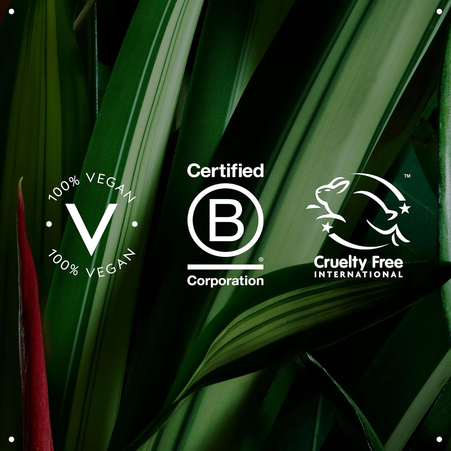 Aveda Certification logos for 100% Vegan, Certified B Corporation, and Cruelty Free International on a green leaf background.
