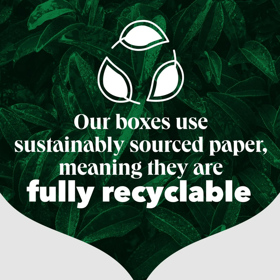 PG Tips Original Tea Bags