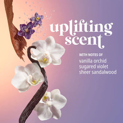 Uplifting scent banner featuring vanilla orchid, sugared violet, and sheer sandalwood with floral accents.
