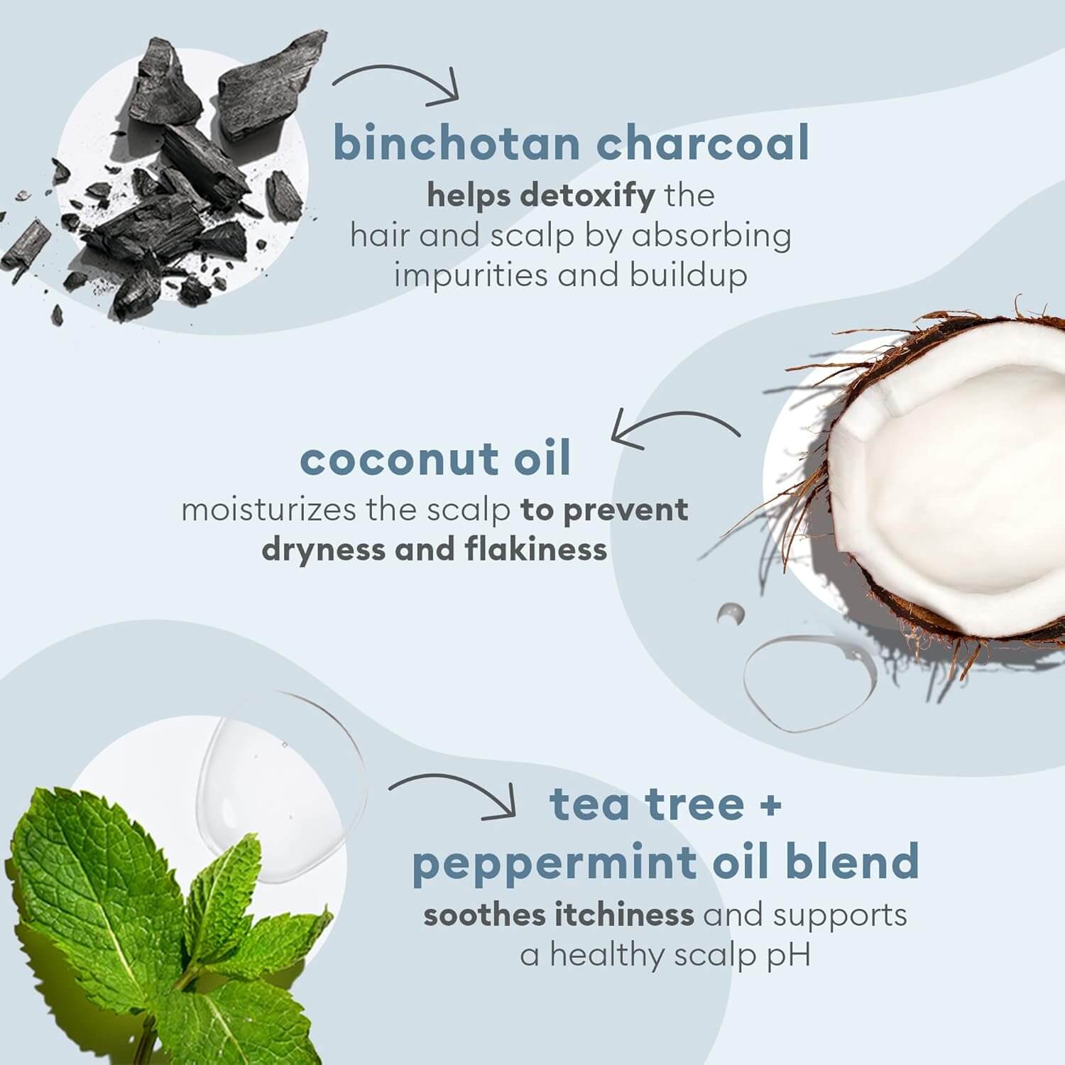 Infographic detailing the benefits of Briogeo Scalp Revival shampoo binchotan charcoal, coconut oil, tea tree, and peppermint oil blend for hair and scalp care.