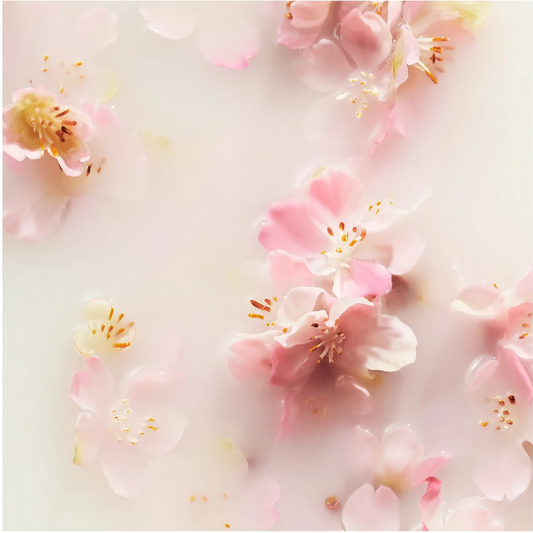 Close-up of RITUALS - The Rituals Sakura Body Cream 70ml pink flowers with a soft focus background