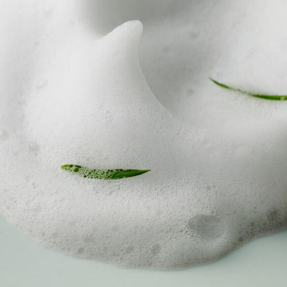 Close-up of a textured white surface with green leaves