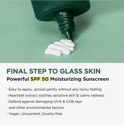 Anua Heartleaf Silky Moisture Sun Cream, SPF 50 sunscreen with heartleaf extract for gentle skin protection.