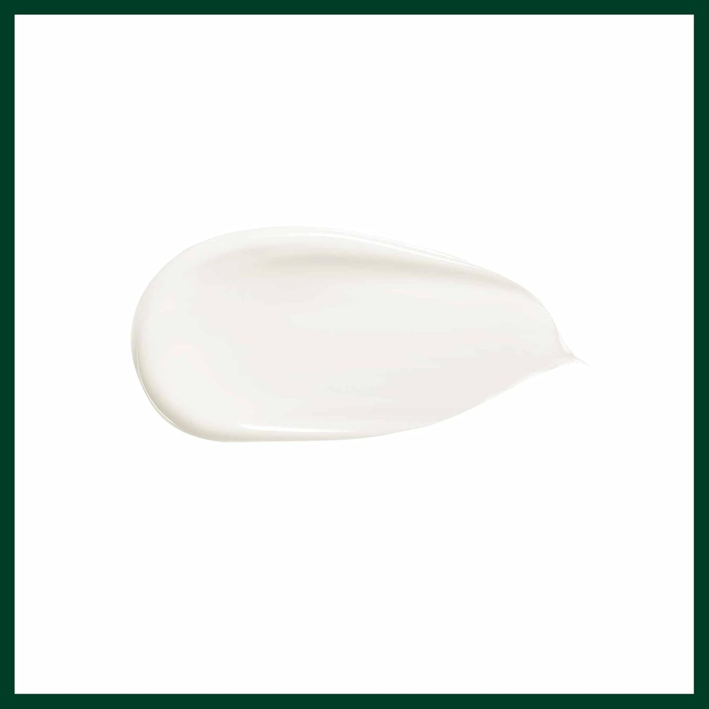 Aveda White ceramic plate on a white background