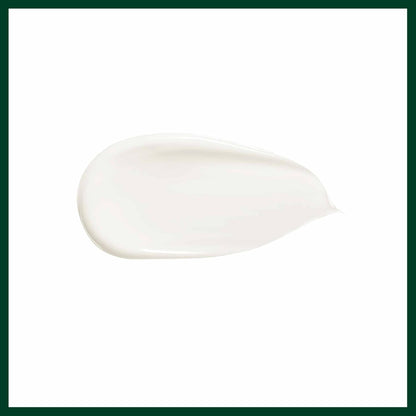 Aveda White ceramic plate on a white background