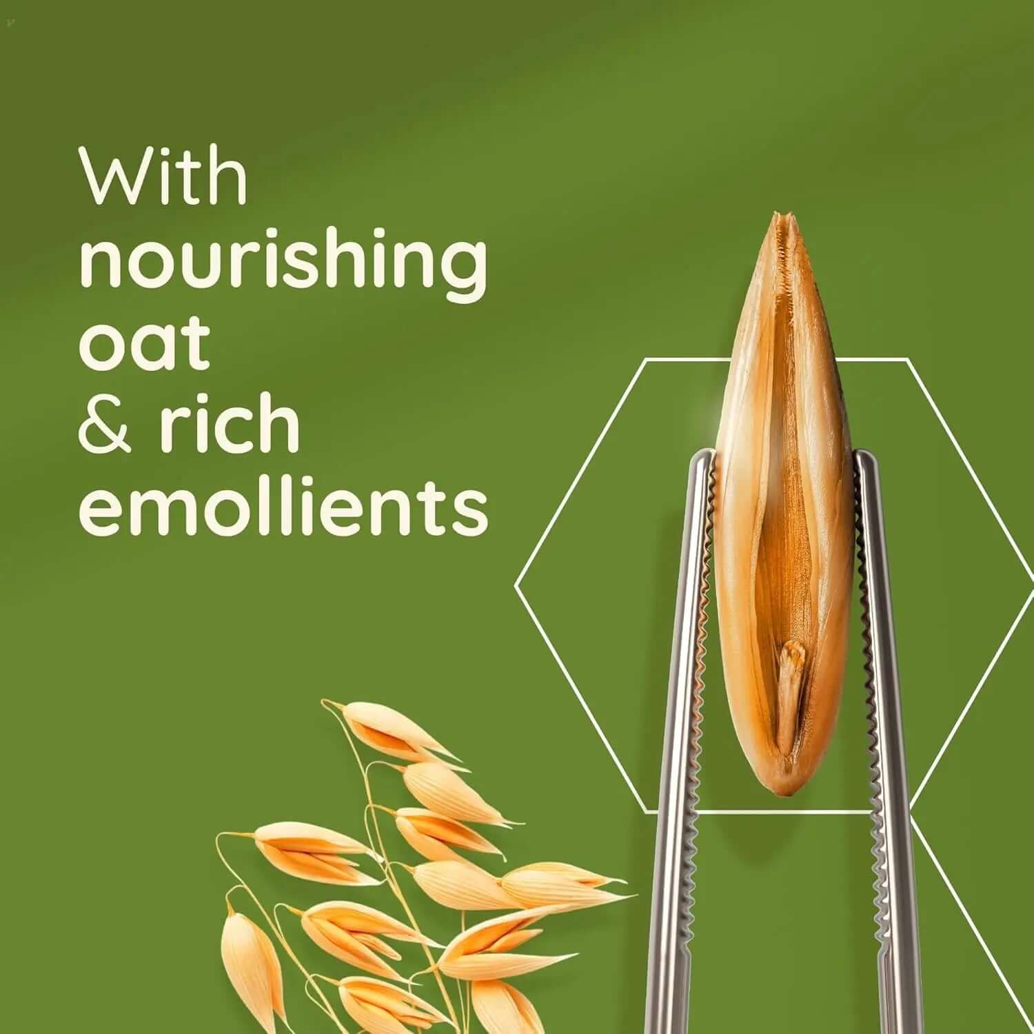 Nourishing oat and rich emollients featured in AVEENO® Daily Moisturising Body Lotion for healthy skin.