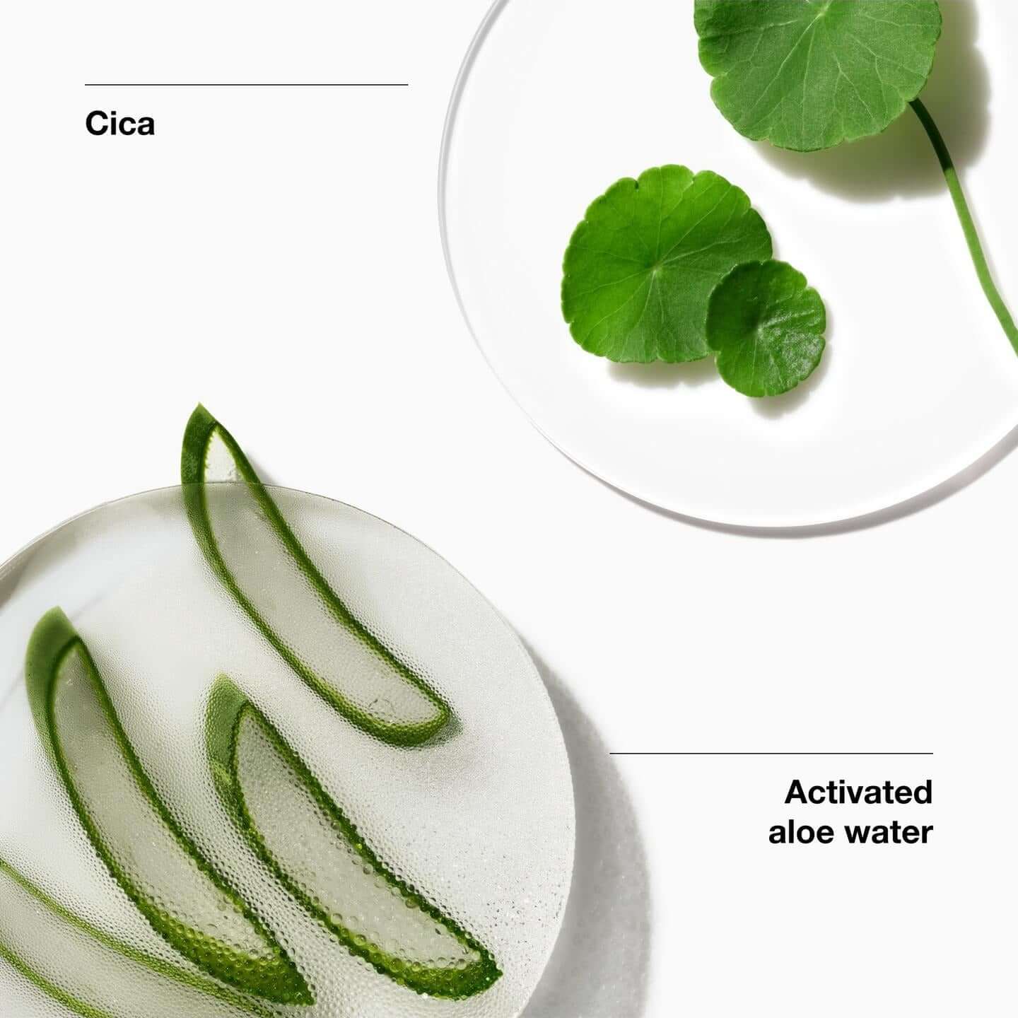 Cica and activated aloe water showcasing natural ingredients used in skin hydration products.