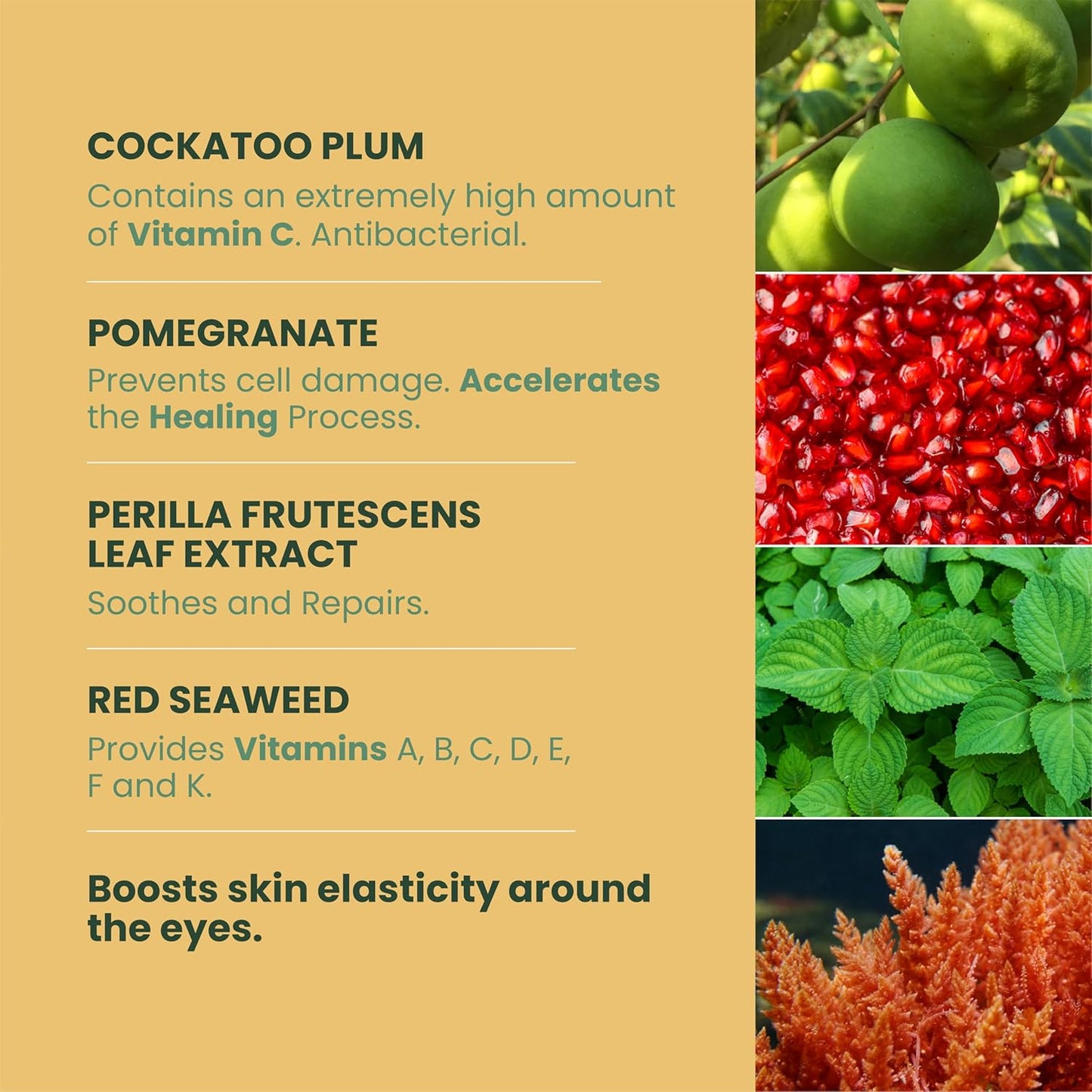 MUDMASKY Product ingredients with images and text on a yellow background