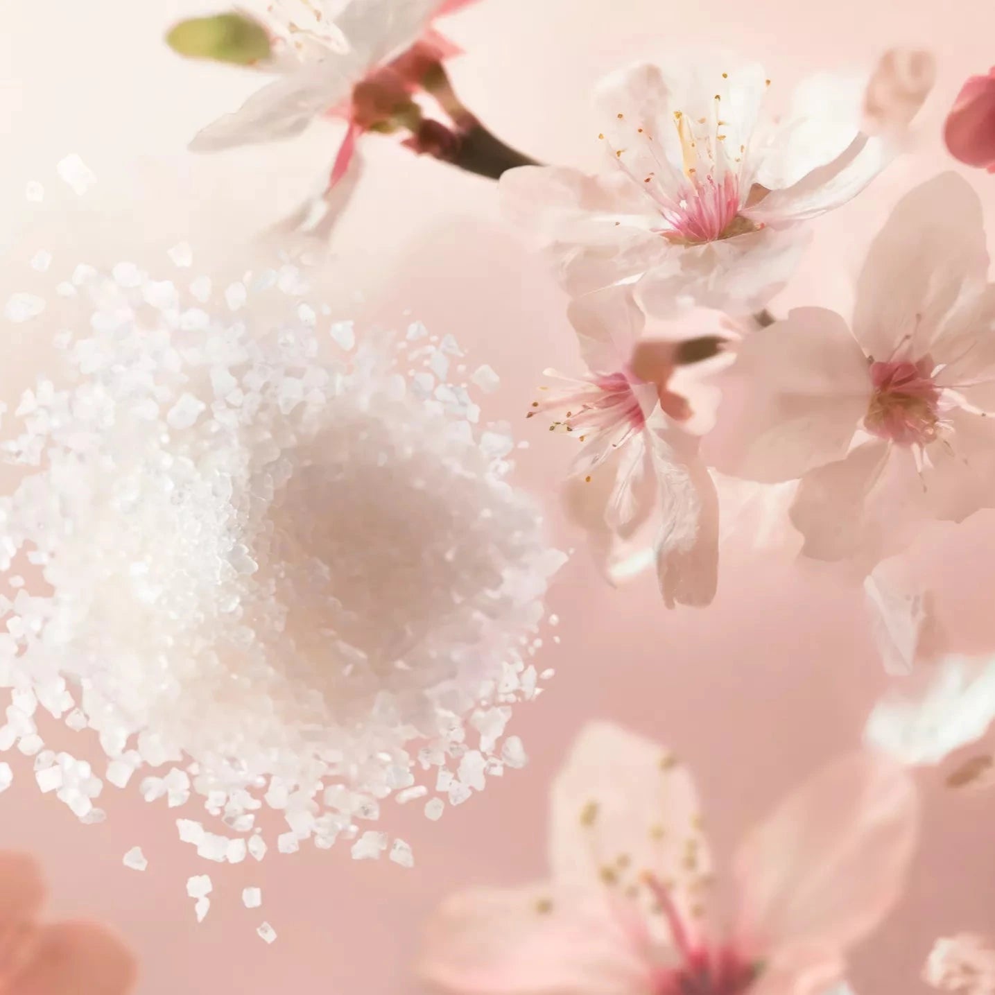 Close-up of a spoon with white powder surrounded by cherry blossoms on a pink background representing Rituals of Sakura Body Scrub