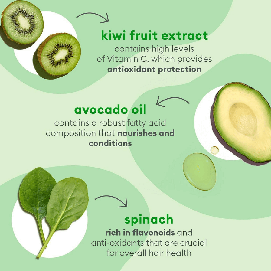 Infographic highlighting kiwi fruit extract, avocado oil, and spinach with their health benefits on a green background. Briogeo