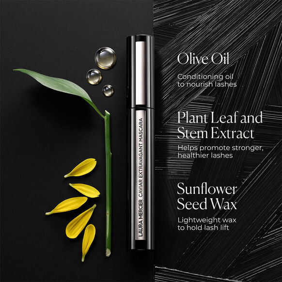 Laura Mercier Lash product with olive oil, plant leaf, stem extract, and sunflower seed wax text on a black background