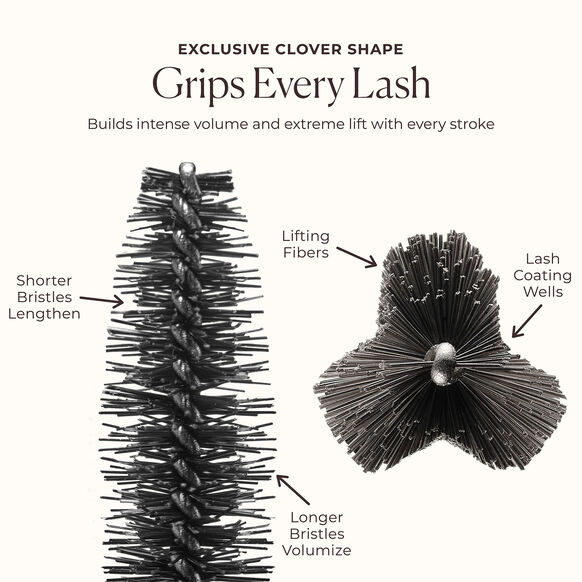 Laura Mercier Illustration of a hairbrush with labeled parts on a white background