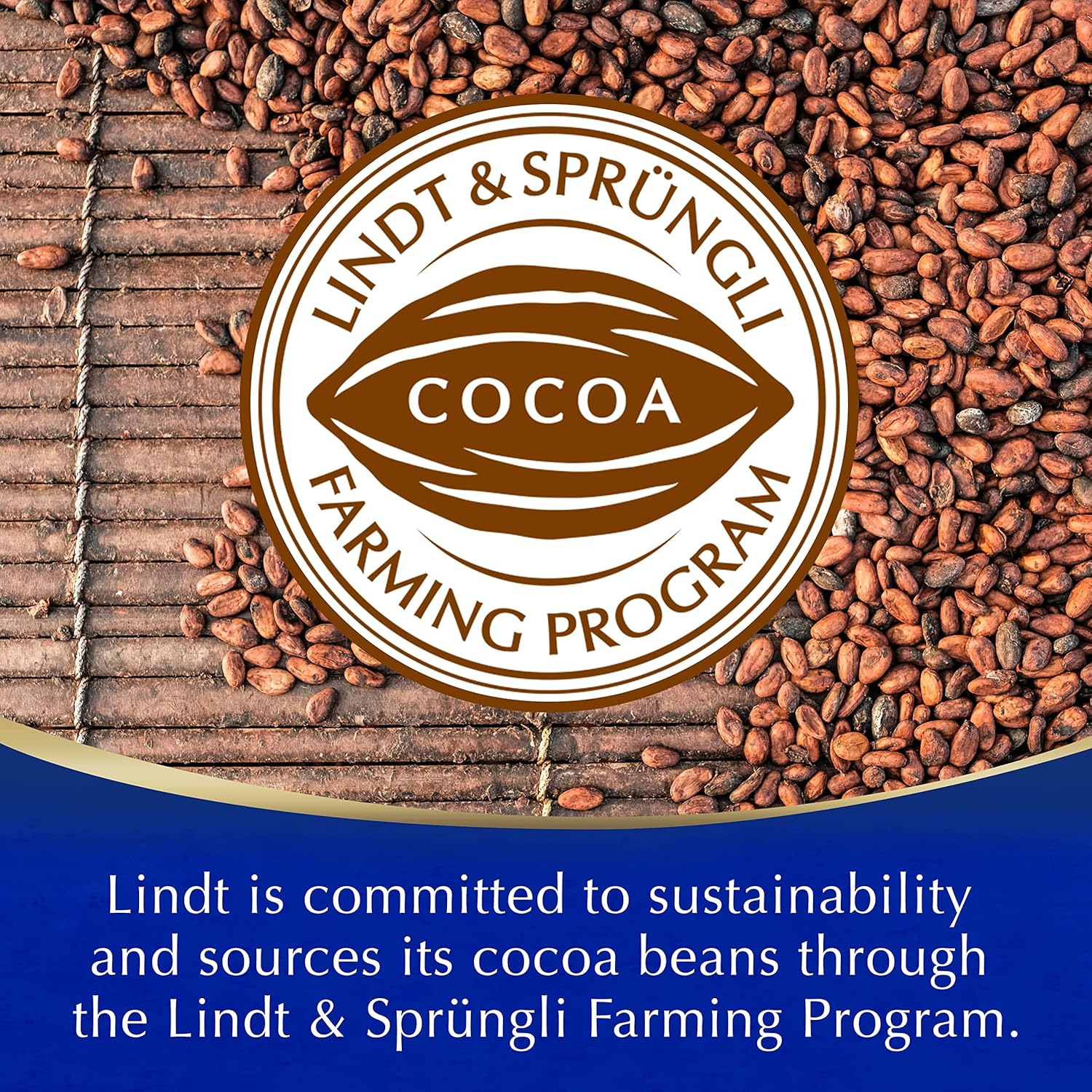 Cocoa beans with Lindt & Sprüngli Cocoa Farming Program logo and text about sustainability.
