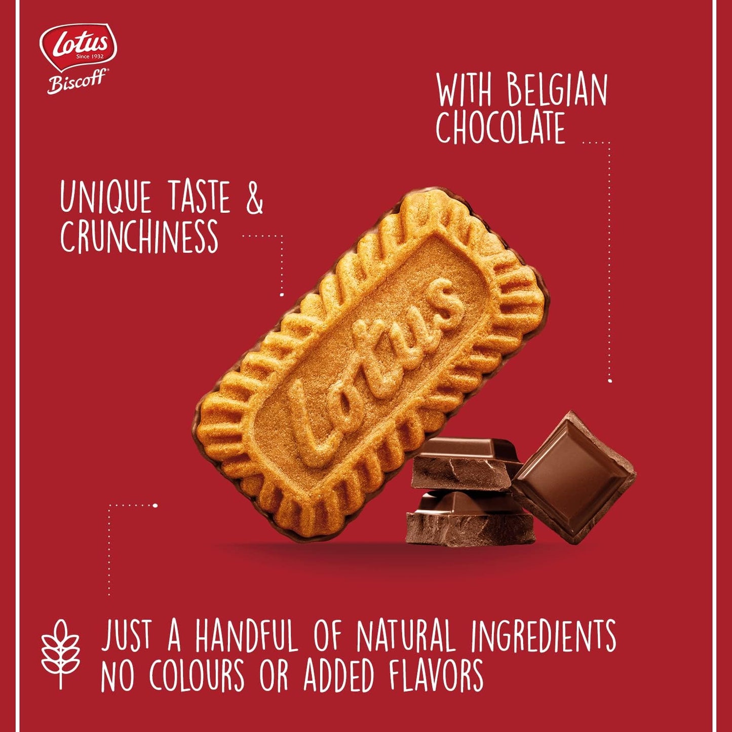 Lotus Biscoff The Original Caramelised Biscuit with Belgian Chocolate