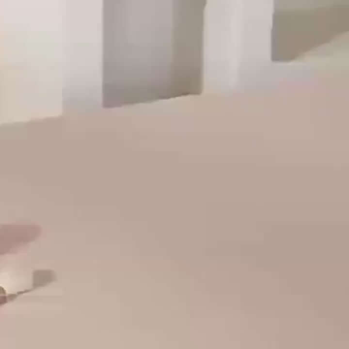 Large capacity water-resistant PU makeup toiletry bag shown on smooth surface, ideal for travel storage.