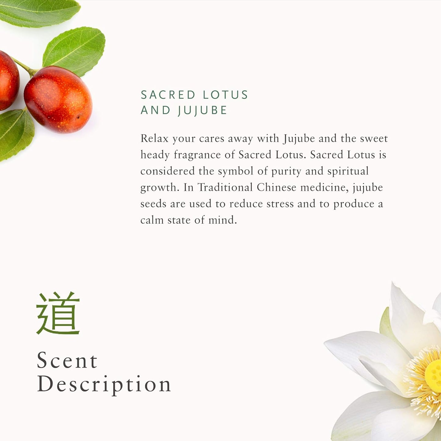 Sacred Lotus and Jujube with descriptive text on a white background