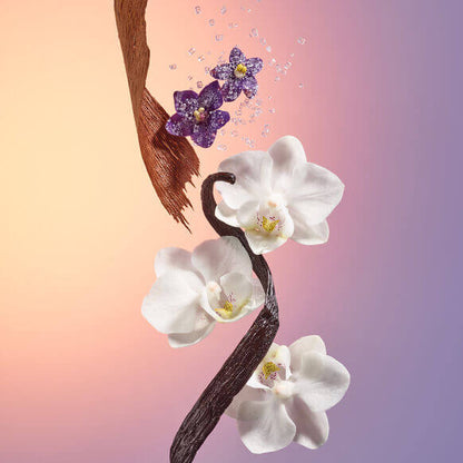 Orchid flowers entwined with hair and bubbles on a gradient background, representing luxury and beauty.