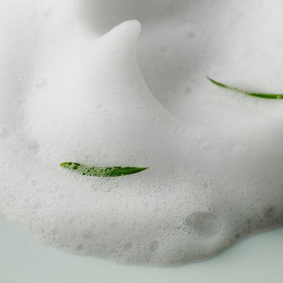 Close-up of a textured white surface with green leaves