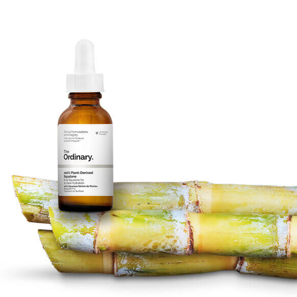 The Ordinary 100% Plant-Derived Squalane bottle beside fresh sugarcane, highlighting natural skincare benefits.