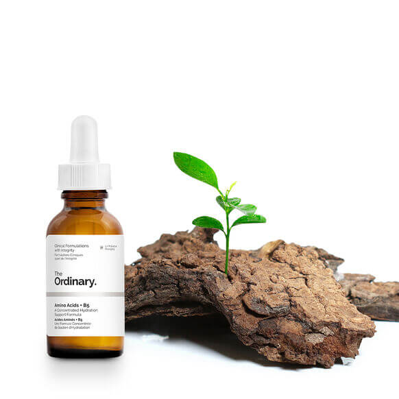 The Ordinary Amino Acids + B5 serum in a glass bottle with a leaf and wood background, showcasing hydration.
