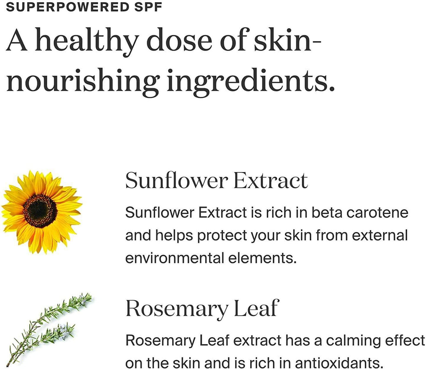 Infographic on Supergoop Sunflower Extract and Rosemary Leaf benefits for skin nourishment and protection