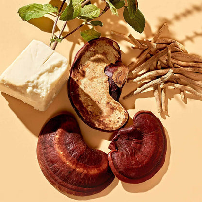 Healing herbs and ingredients for skincare: shea butter, reishi mushrooms, ashwagandha root, and rhodiola.